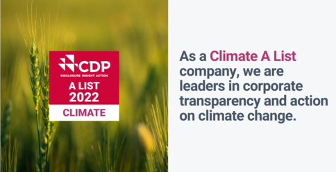 MM Group awarded an “A-rating” in CDP climate rating